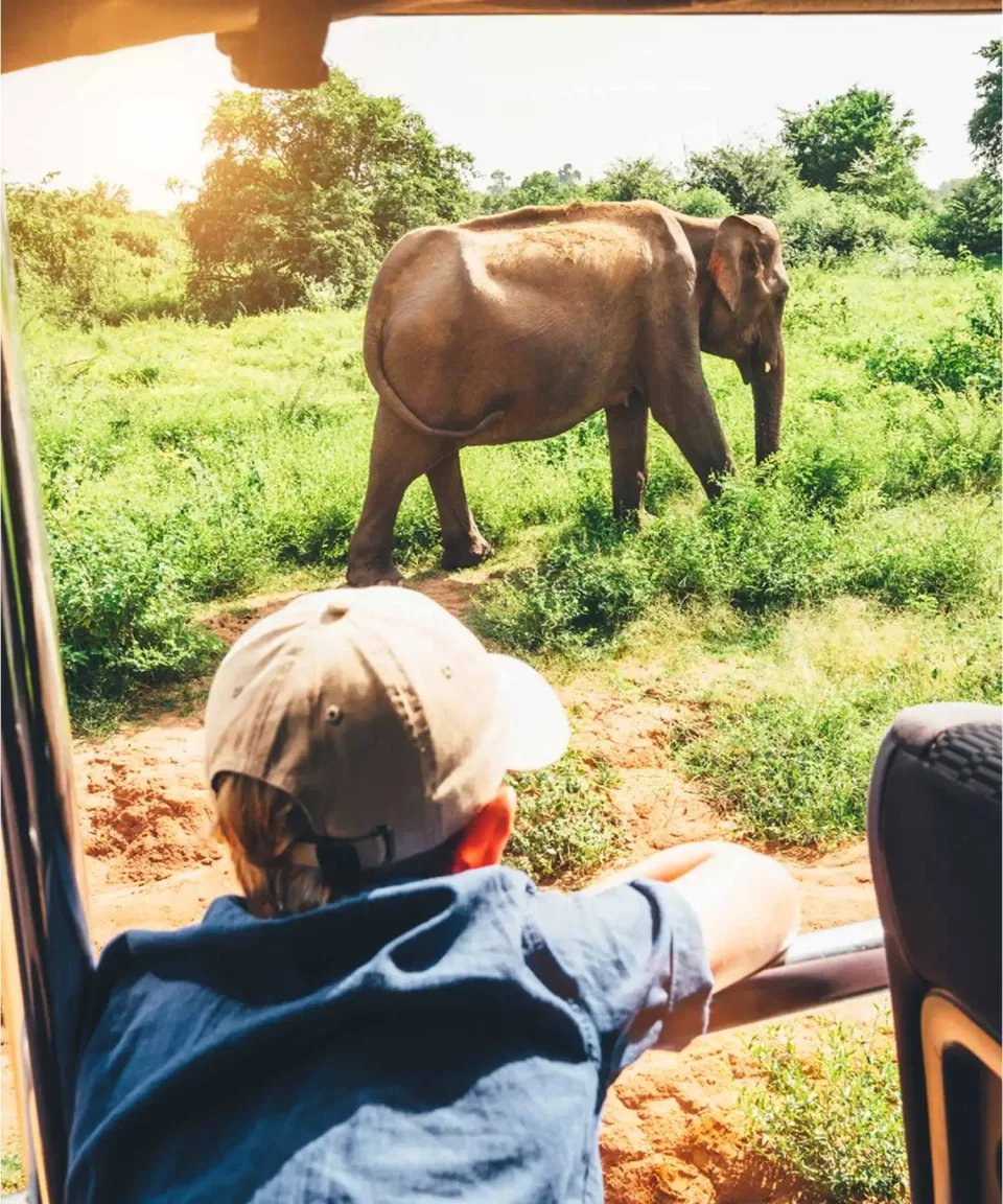 Keeping them entertained — Families Sri Lanka Feature View 2