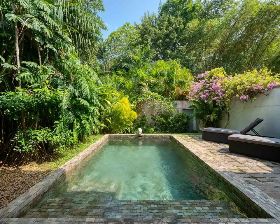 Honeymoons In Sri Lanka Gallery View 1 — Honeymoons in Sri Lanka