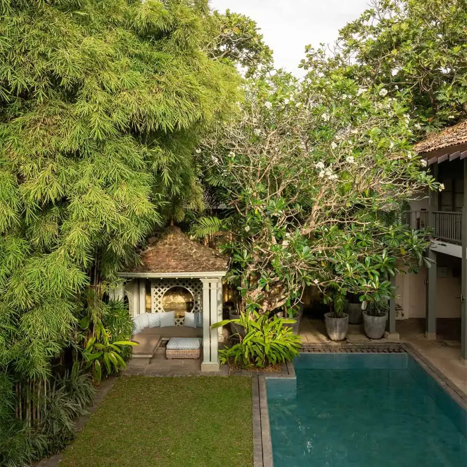 Honeymoons In Sri Lanka Gallery View 4 — Honeymoons in Sri Lanka