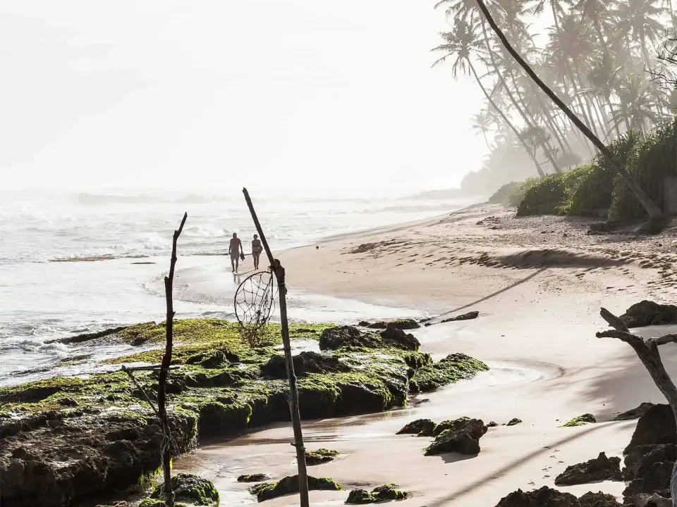 Honeymoons In Sri Lanka Gallery View 5 — Honeymoons in Sri Lanka