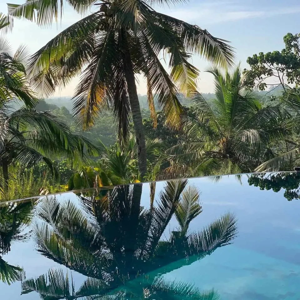 Honeymoons In Sri Lanka Gallery View 6 — Honeymoons in Sri Lanka
