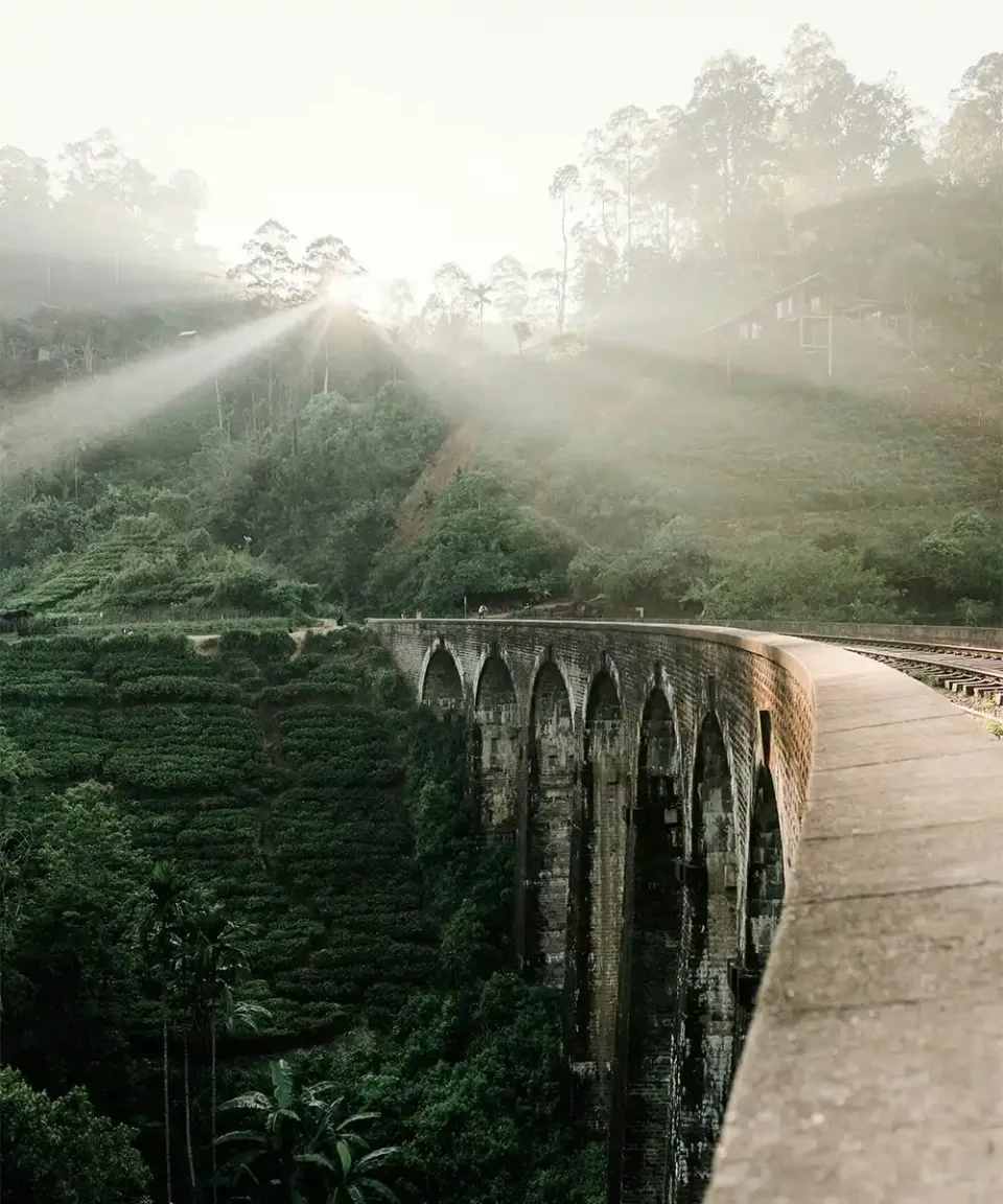 Honeymoons In Sri Lanka Gallery View 7 — Honeymoons in Sri Lanka
