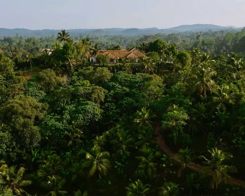 Honeymoons In Sri Lanka Gallery View 8 — Honeymoons in Sri Lanka