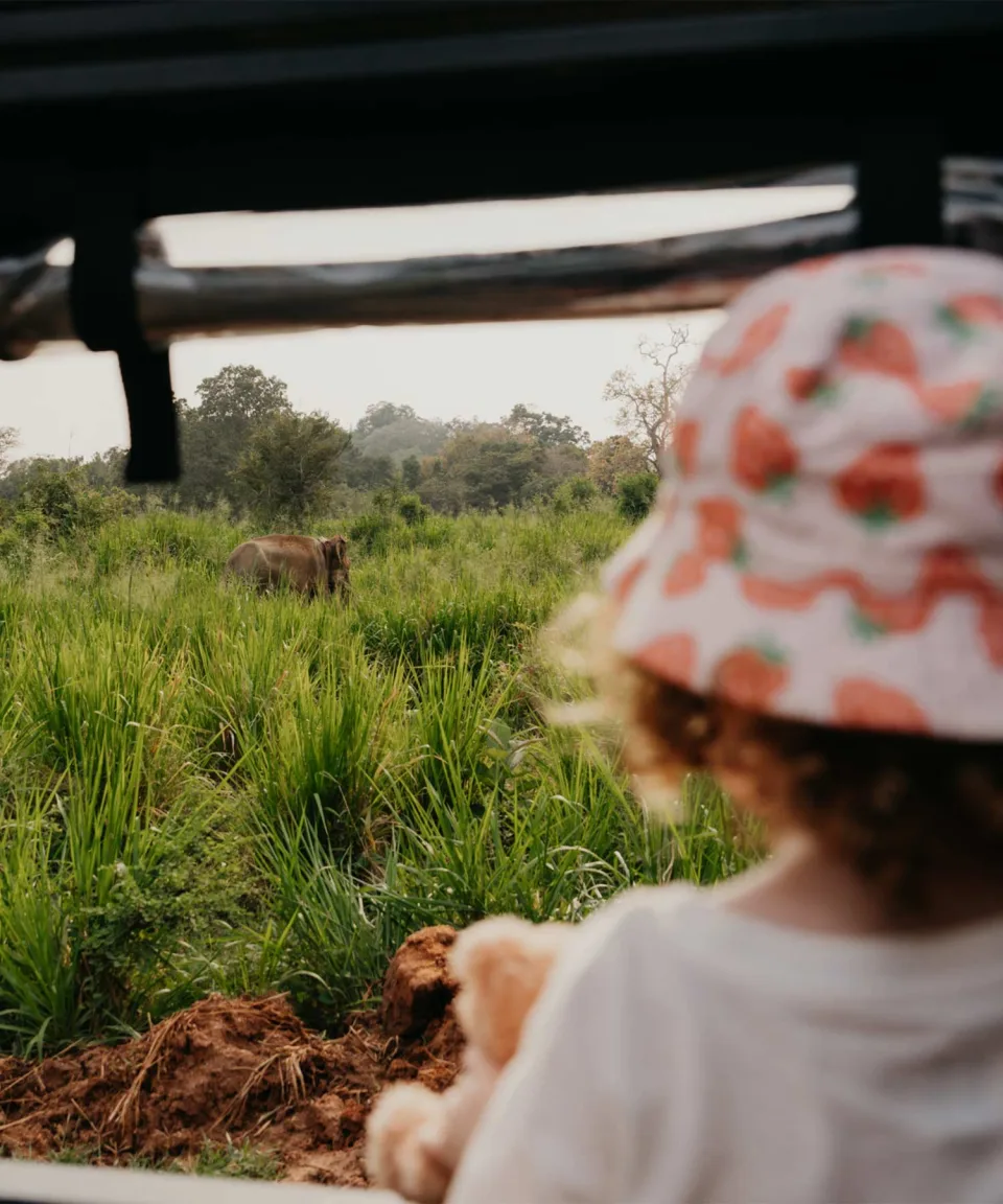 It's all in the detail… — Little Red Dot India Feature View 2