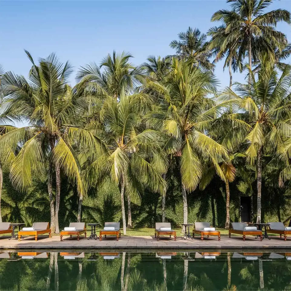 Poolside loungers beneath palm trees at a Sri Lankan hotel