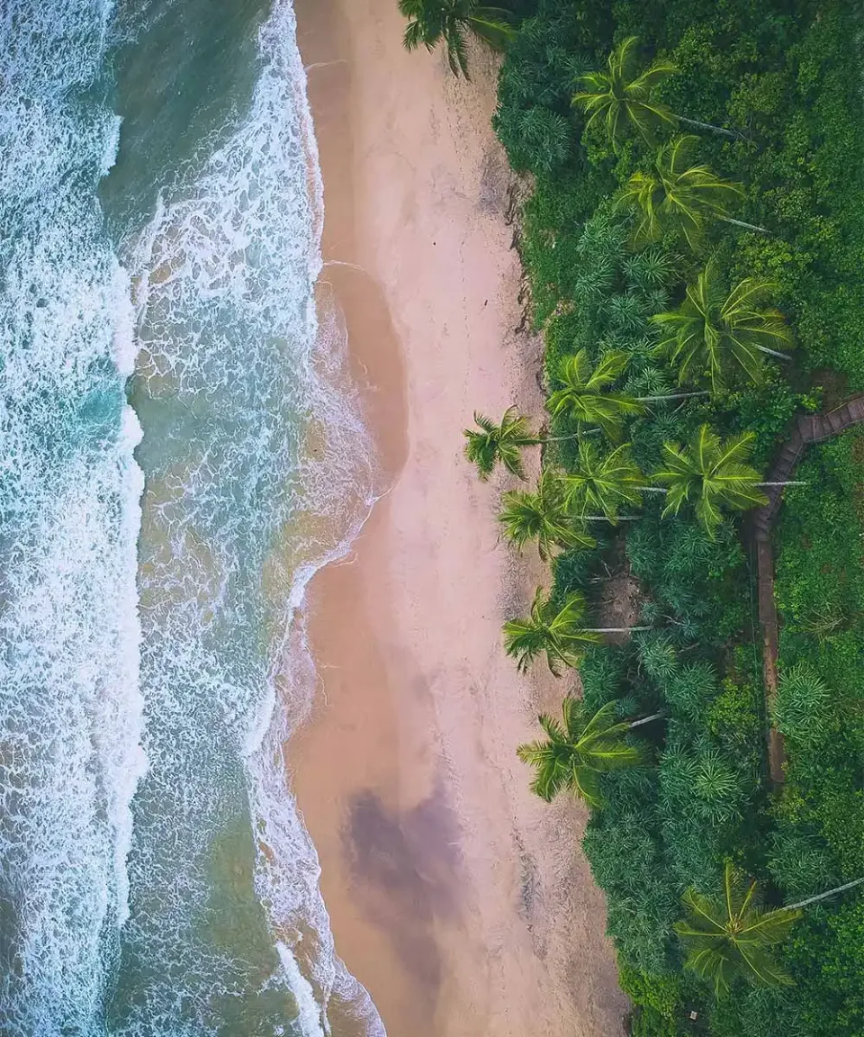 Aerial view of a secluded palm-fringed beach in Sri Lanka