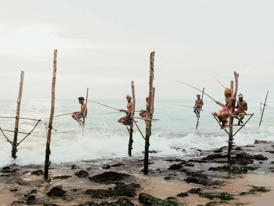Traditional stilt fishermen at sunset in southern Sri Lanka