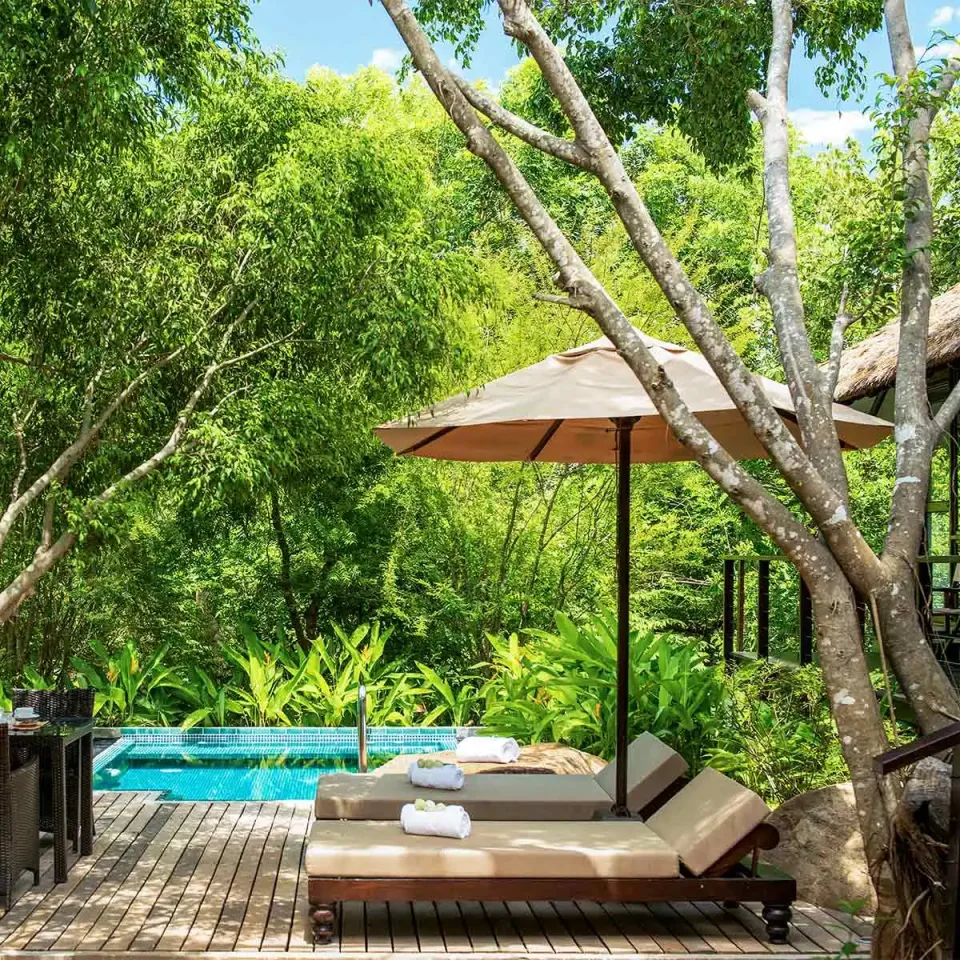 Private plunge pool and loungers surrounded by tropical forest