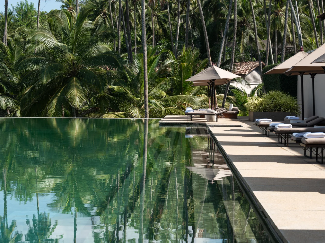 Infinity pool and palm trees at Amanwella on Sri Lanka’s south coast
