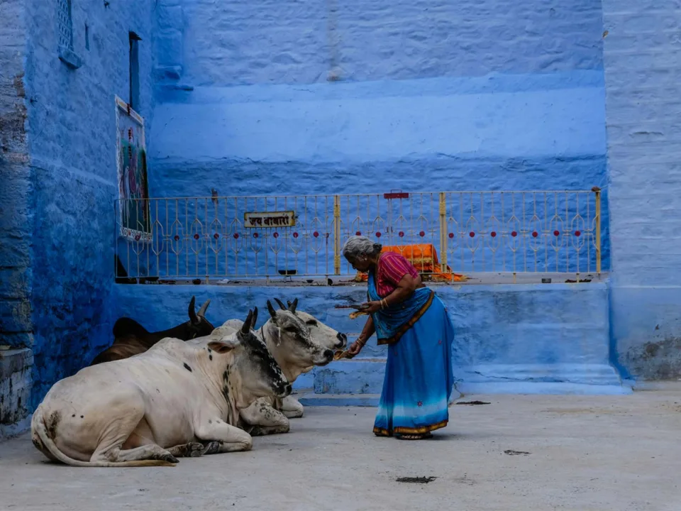 Teenagers India Gallery View 2 — Teenagers in India