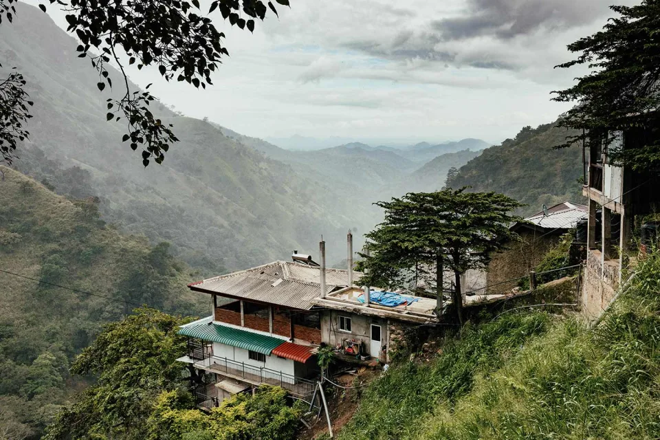 The Pekoe Trail Gallery View 4 — The Pekoe Trail