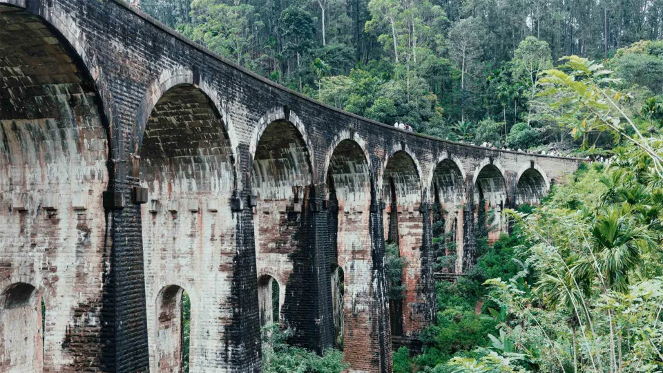 The Pekoe Trail — The Pekoe Trail Header