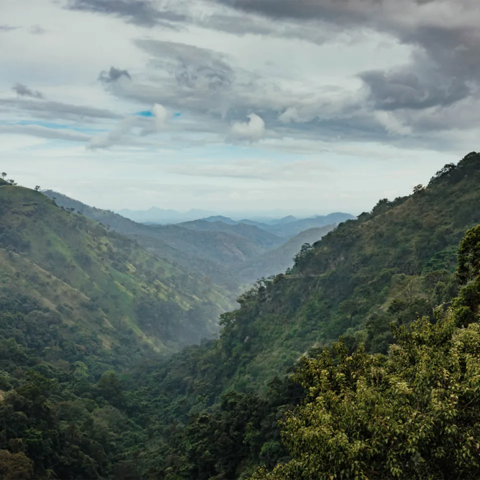 The Pekoe Trail — The Tea Country Feature View 3