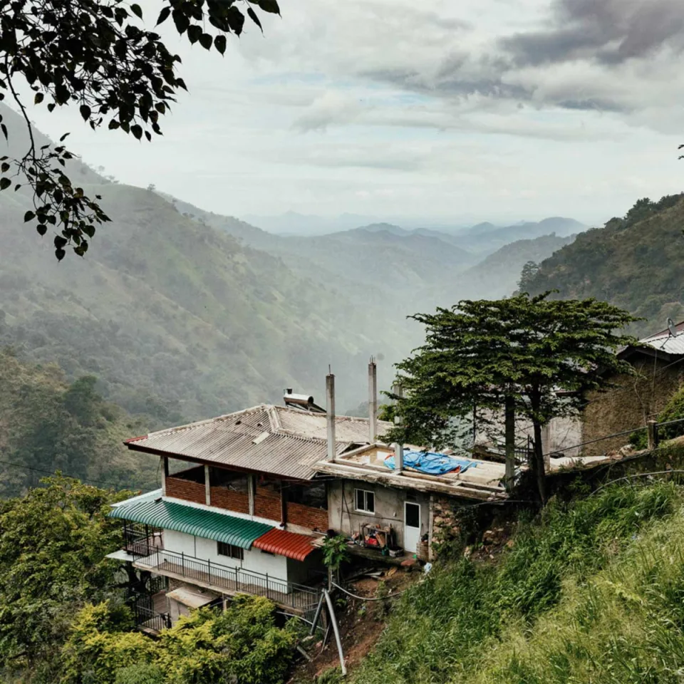 Ella: The Scenic Mountain Hub — The Tea Country Feature View 7
