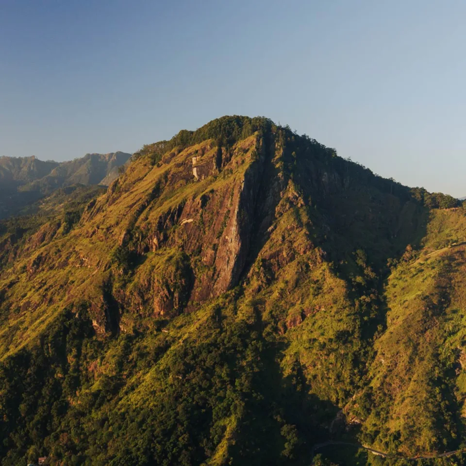Haputale: Ridge-Top Views and Tea Heritage — The Tea Country Feature View 8