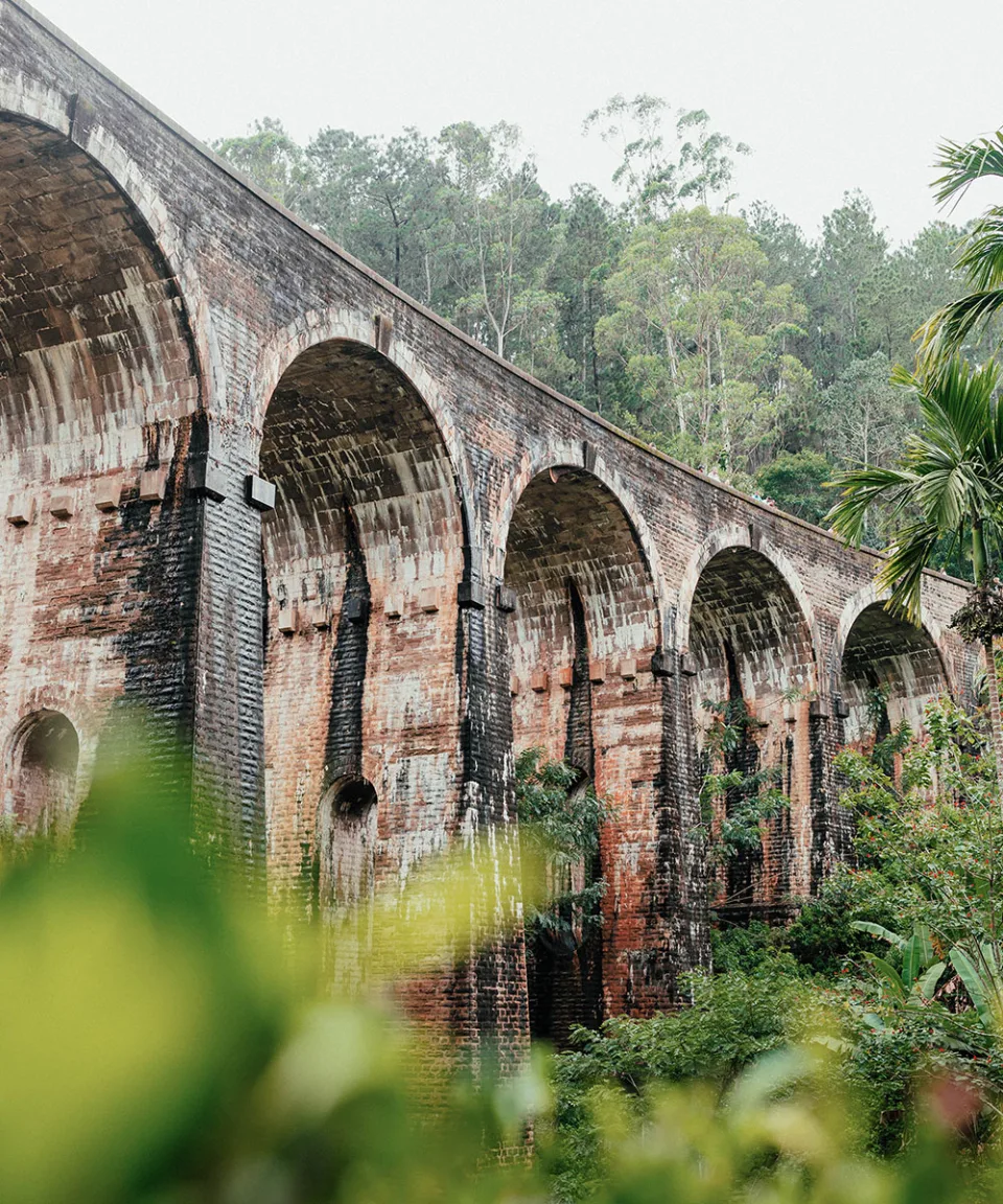 The Tea Country Gallery View 4 — The Tea Country