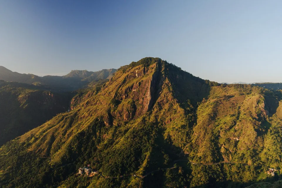The Tea Country Gallery View 7 — The Tea Country