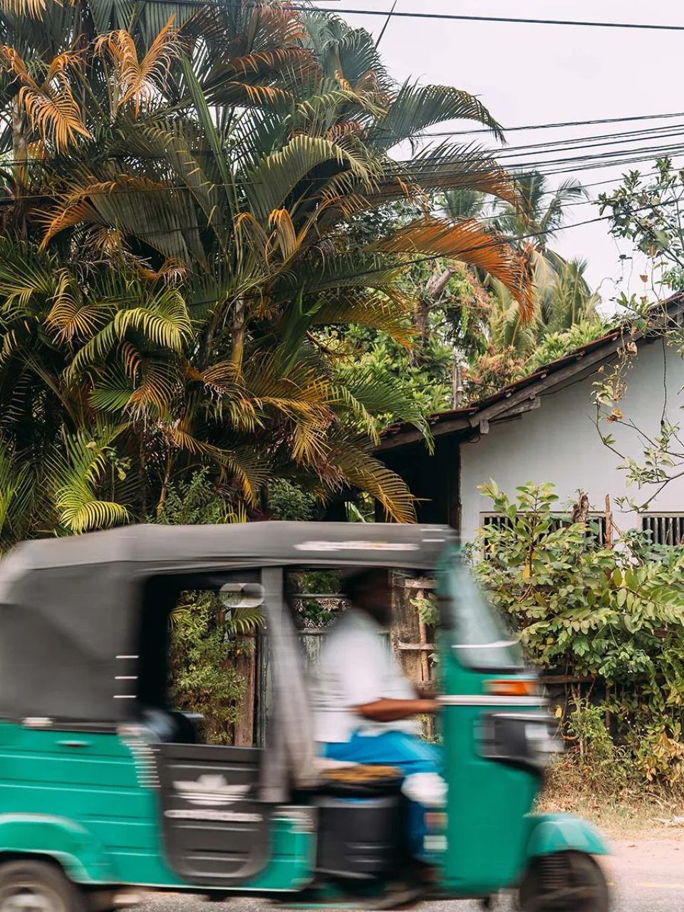 Why Red Dot Is Different In Sri Lanka Gallery View 15 — Why Red Dot is different in Sri Lanka