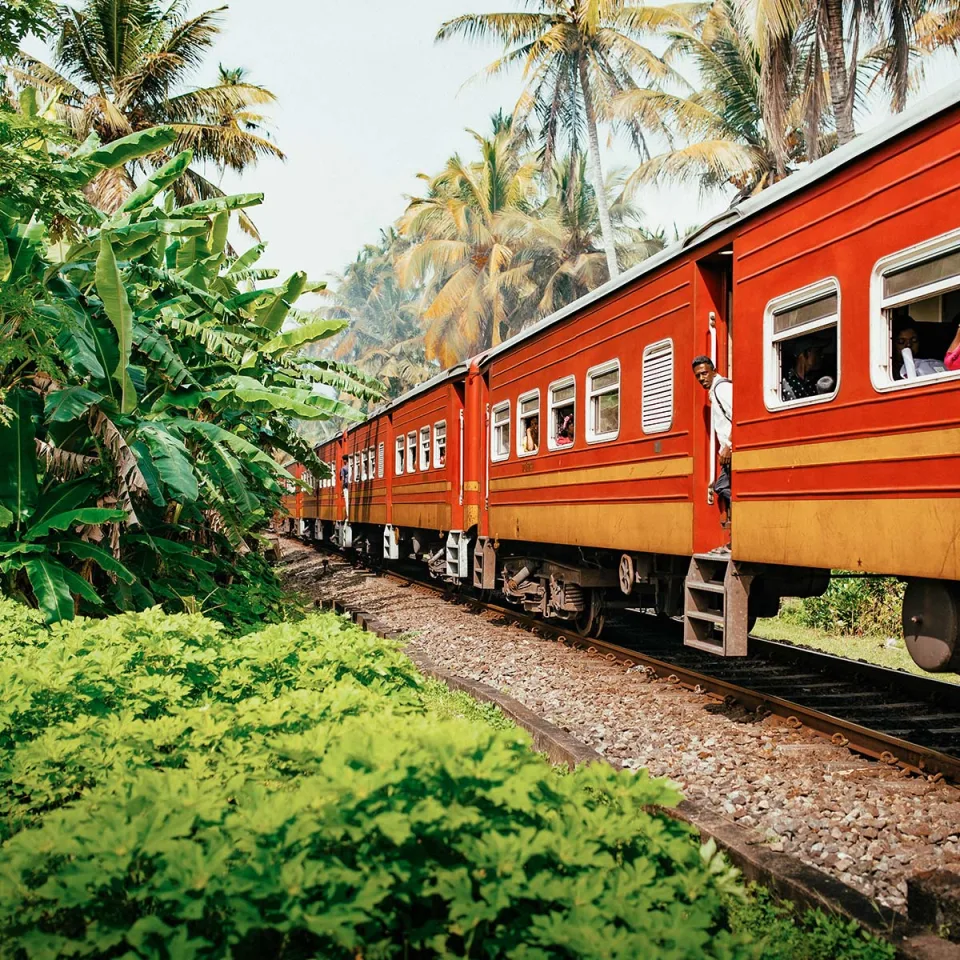 Why Red Dot Is Different In Sri Lanka Gallery View 7 — Why Red Dot is different in Sri Lanka