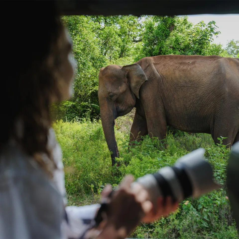 Select your destination — Wildlife And Wilderness Gallery View 14