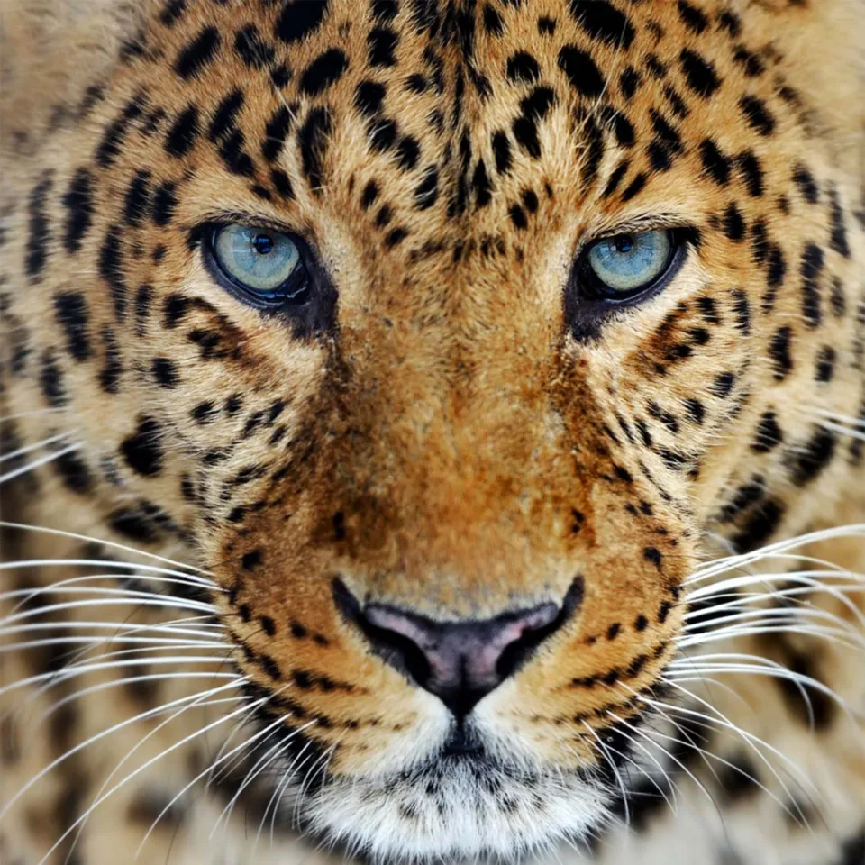 Wildlife And Wilderness Gallery View 6 — Wildlife and Wilderness