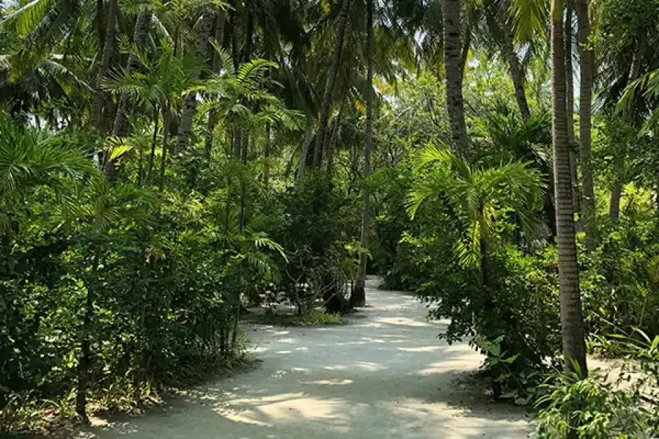 Maldives destination preview in the mobile menu