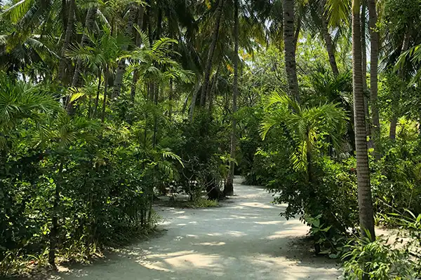 Maldives
