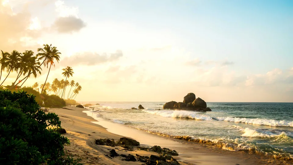 Best times to explore South Asia — South Asia Header