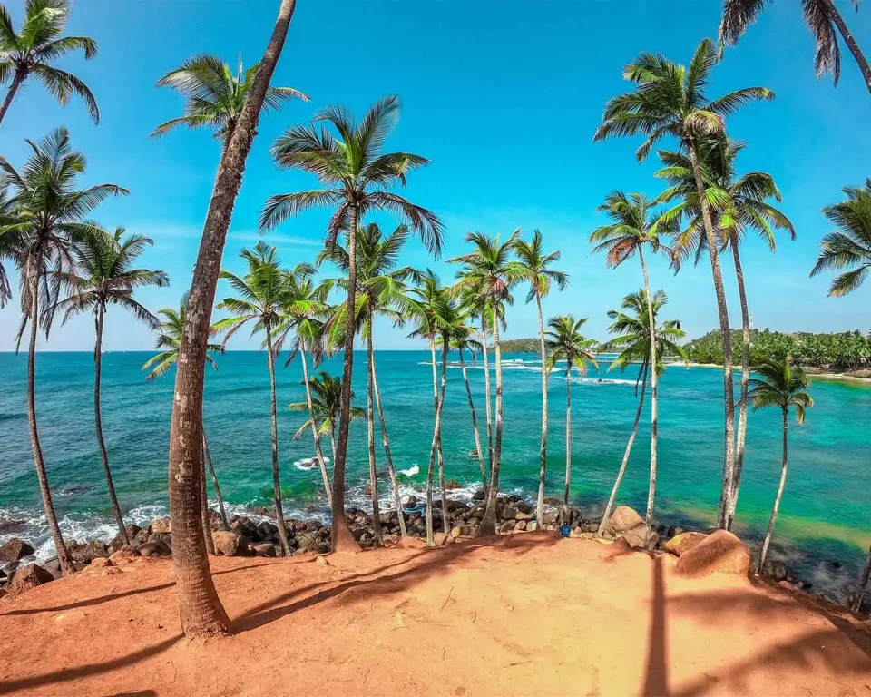 Whats The Weather Like In Sri Lanka In August Gallery View 5 — What's the weather like in Sri Lanka in August?
