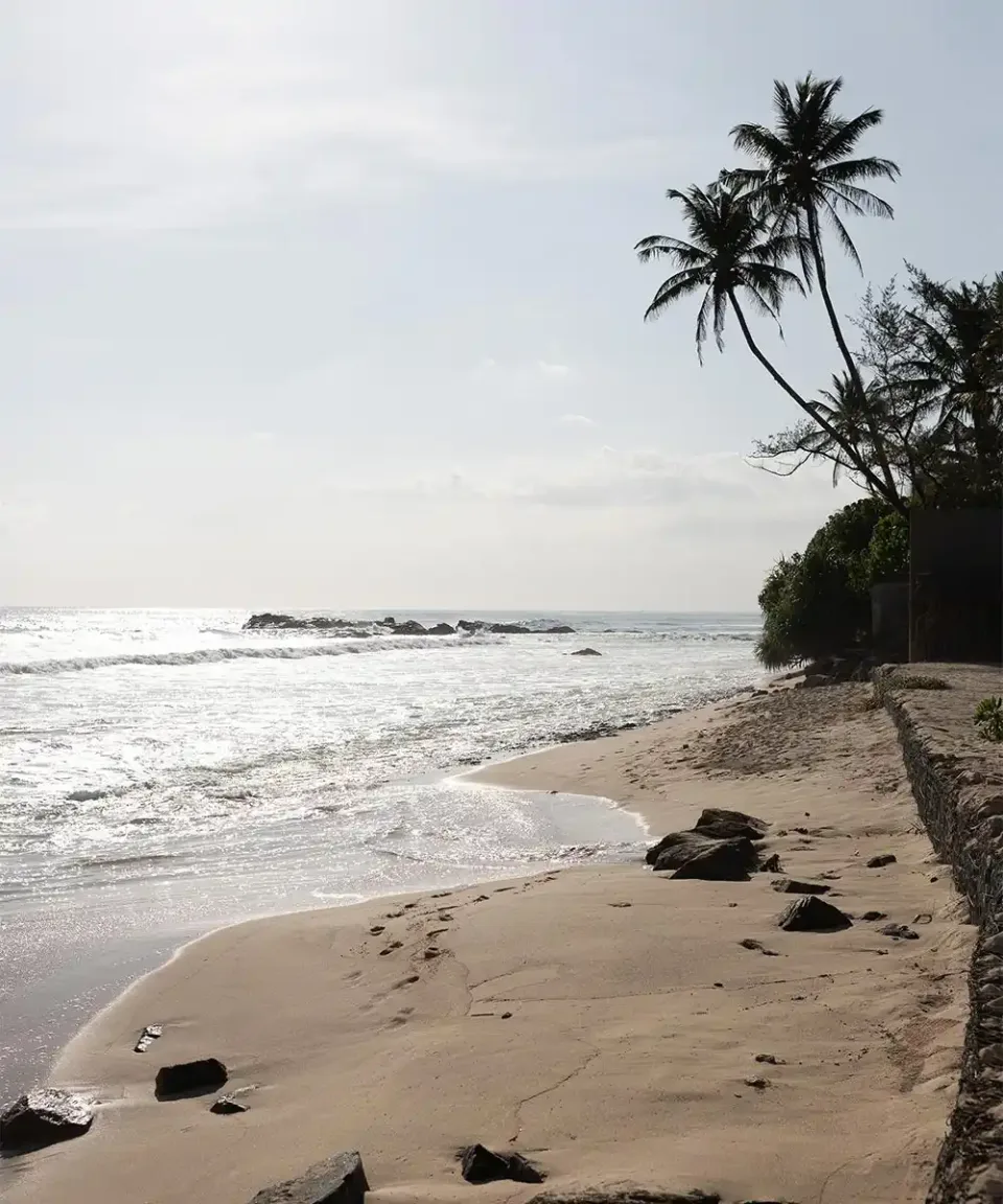 Whats The Weather Like In Sri Lanka In December Gallery View 3 — What's the weather like in Sri Lanka in December?