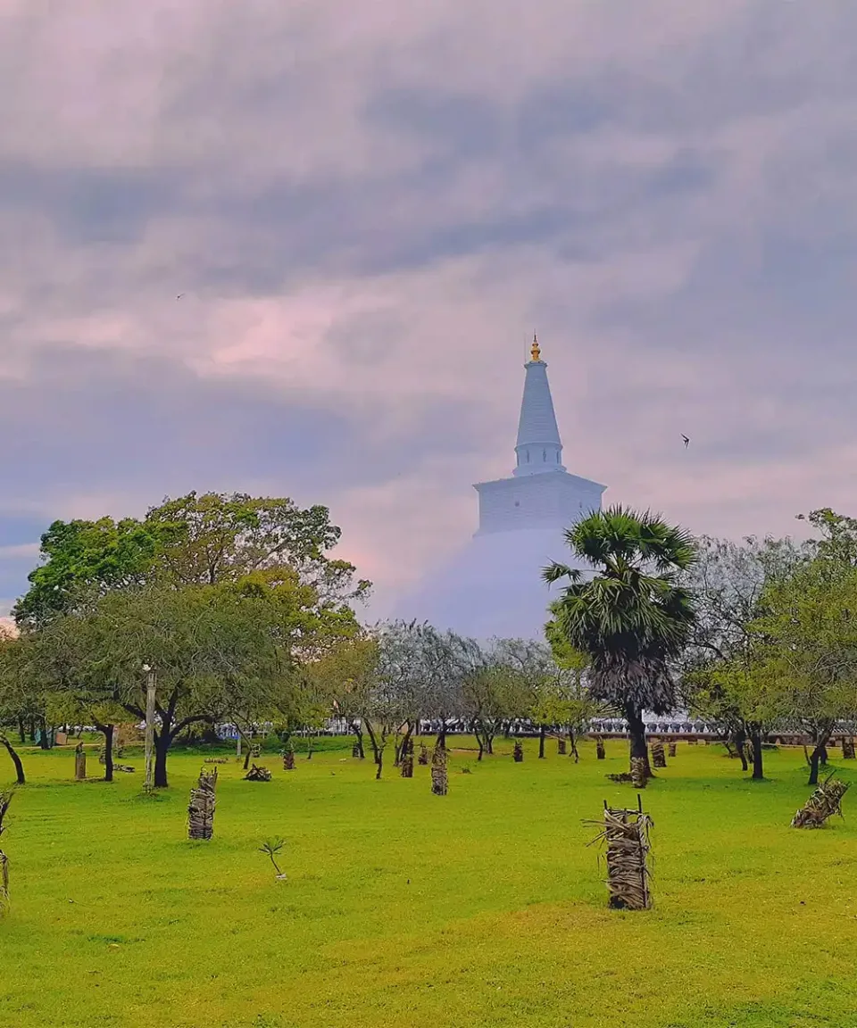 Whats The Weather Like In Sri Lanka In January Gallery View 2 — What's the weather like in Sri Lanka in January?