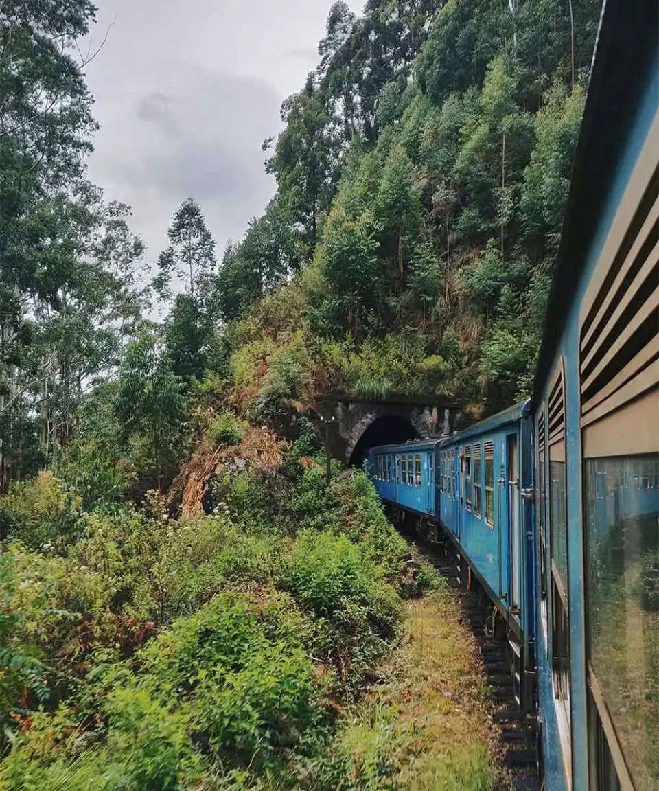Whats The Weather Like In Sri Lanka In June Gallery View 6 — What's the weather like in Sri Lanka in June?