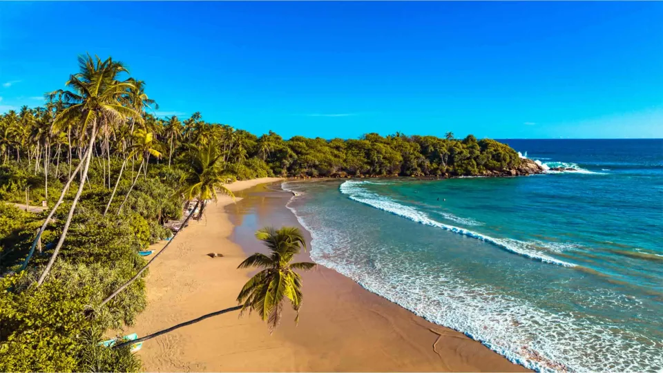 What's the weather like in Sri Lanka in June? — Whats The Weather Like In Sri Lanka In June Header