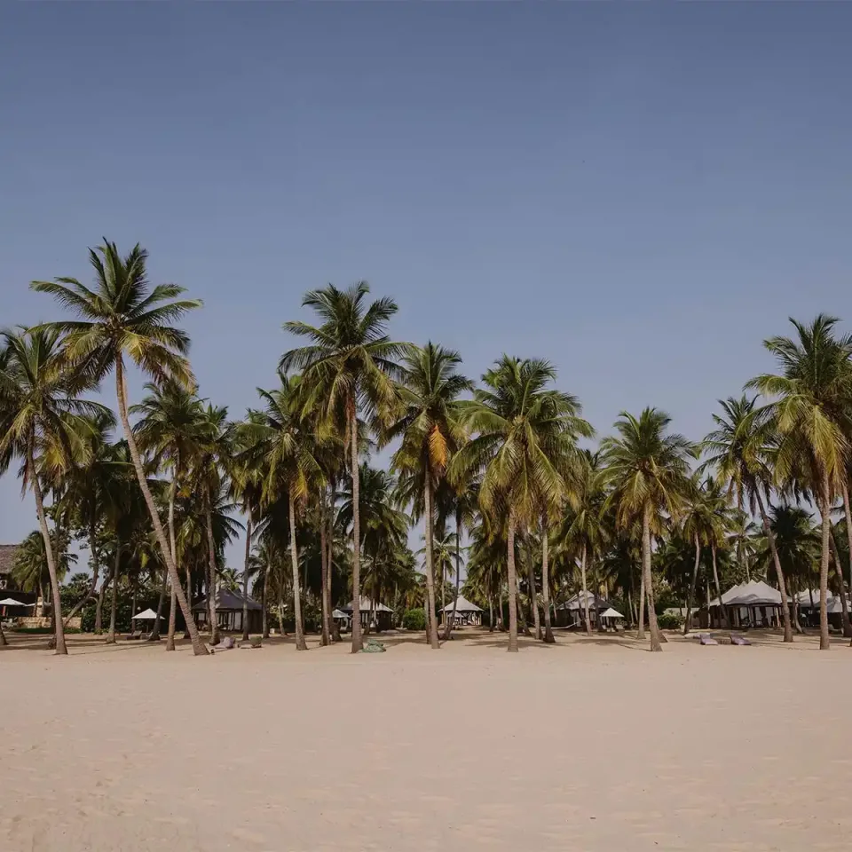 Whats The Weather Like In Sri Lanka In March Gallery View 2 — What's the weather like in Sri Lanka in March?