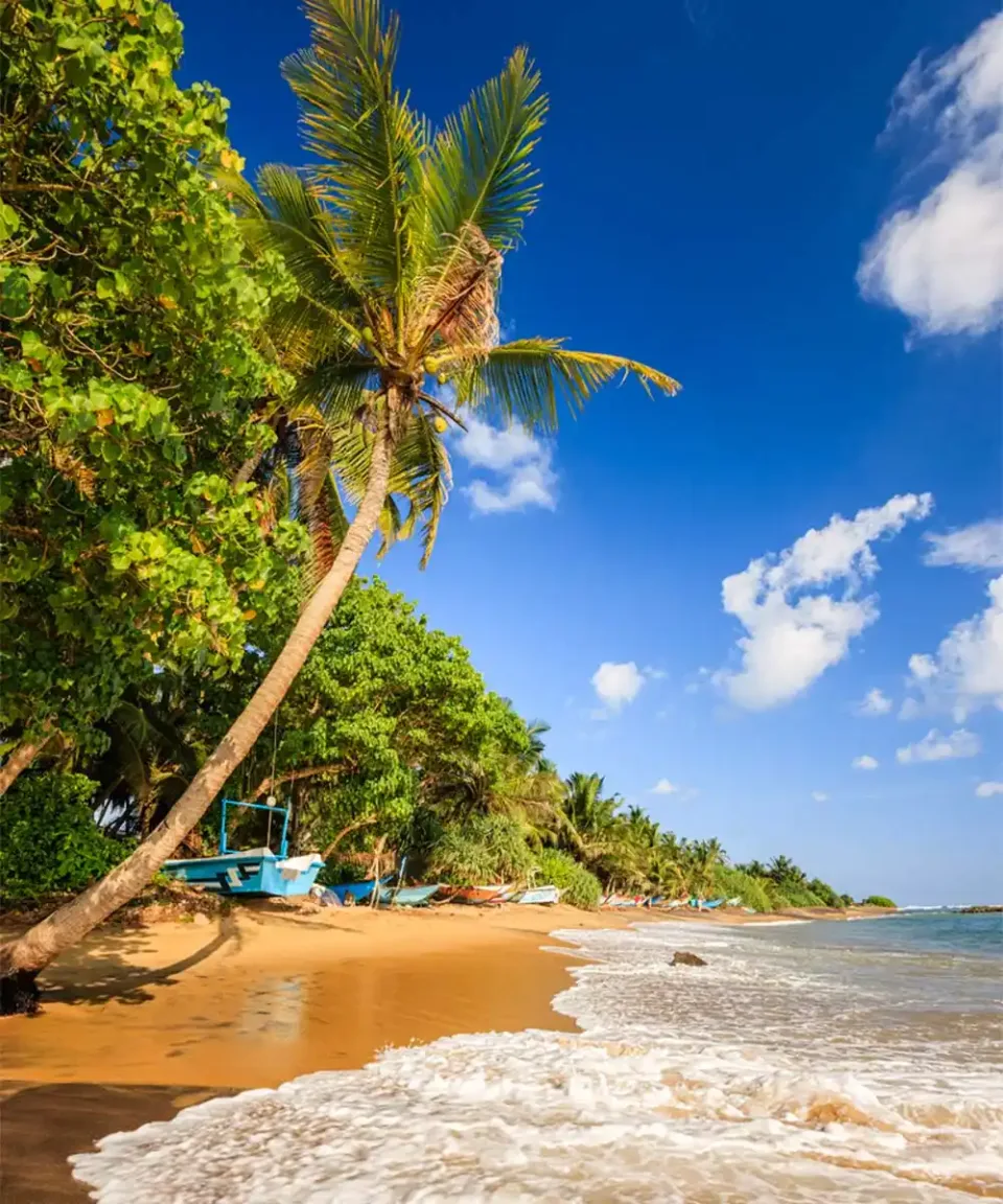 Whats The Weather Like In Sri Lanka In May Gallery View 2 — What's the weather like in Sri Lanka in May?