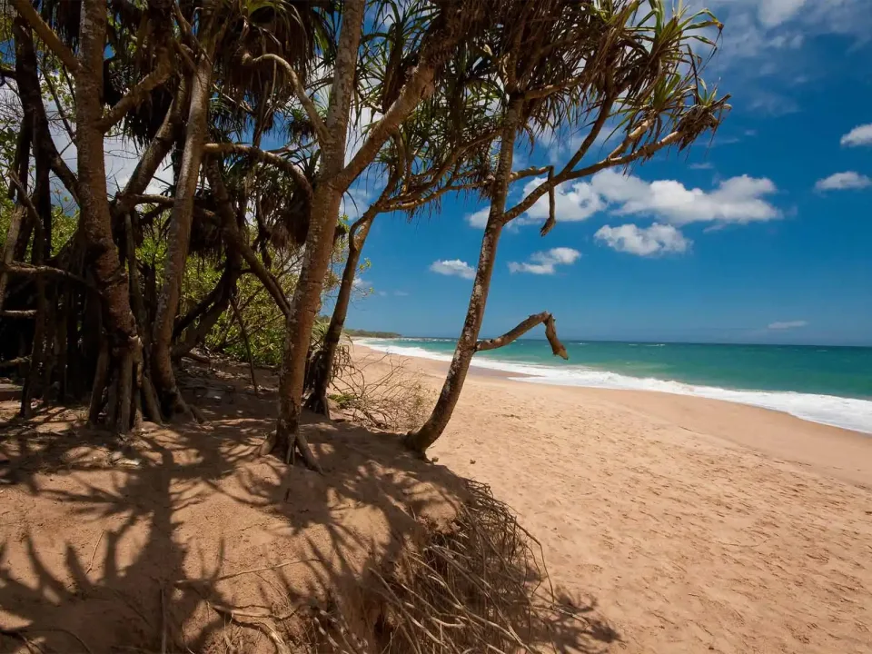Whats The Weather Like In Sri Lanka In September Gallery View 5 — What's the weather like in Sri Lanka in September?