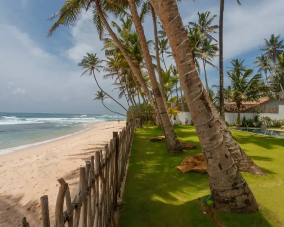 Wildlife in Sri Lanka in April — April View 1
