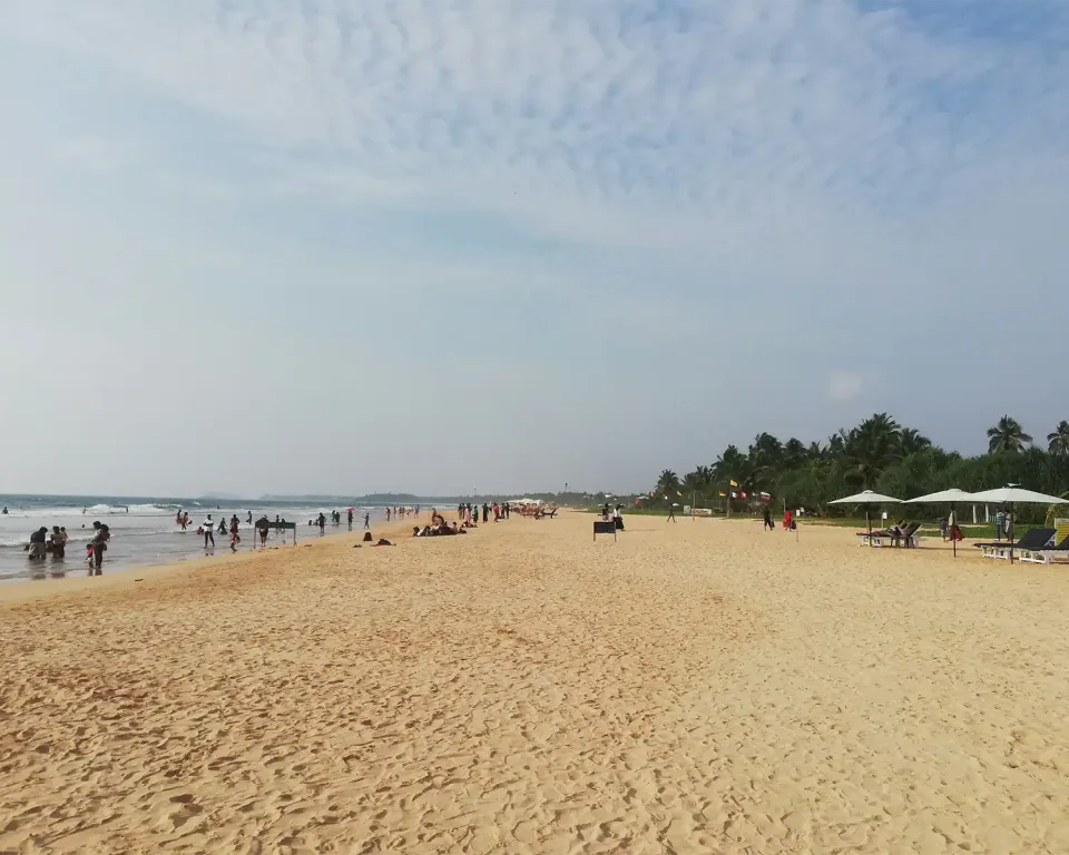 Wildlife in Sri Lanka in February — February View 1