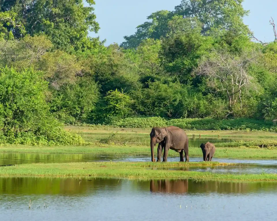 When is the best time to visit Sri Lanka by Region — February View 2