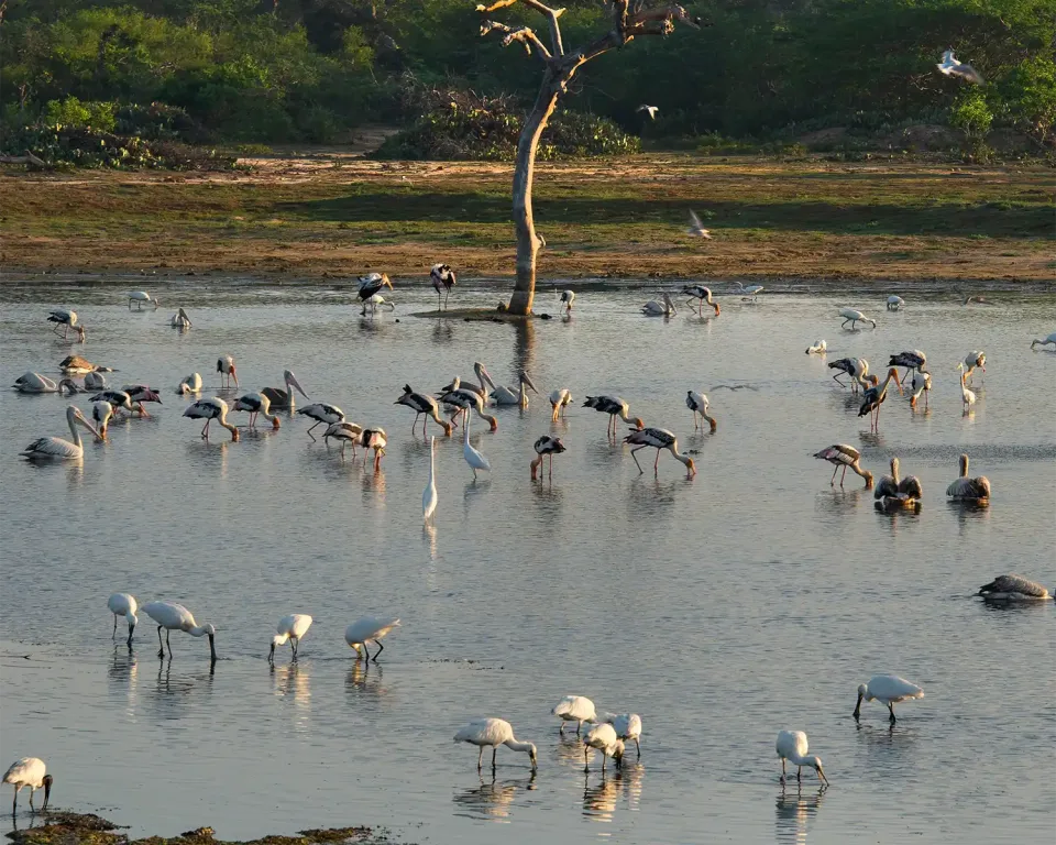 When is the best time to visit Sri Lanka by Region — June View 2