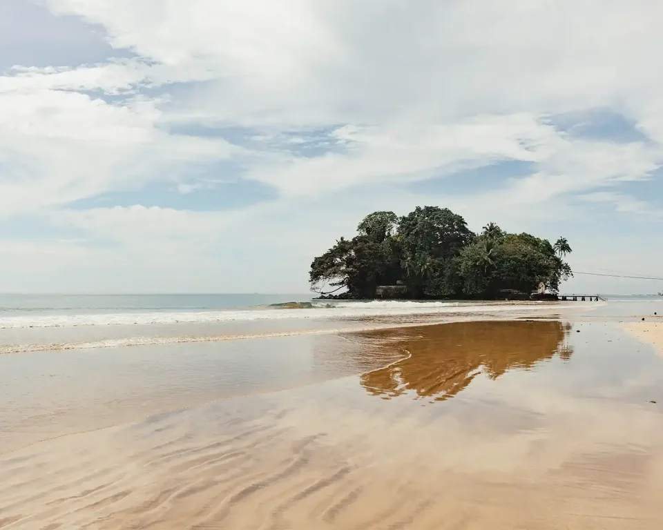 Wildlife in Sri Lanka in November — November View 1