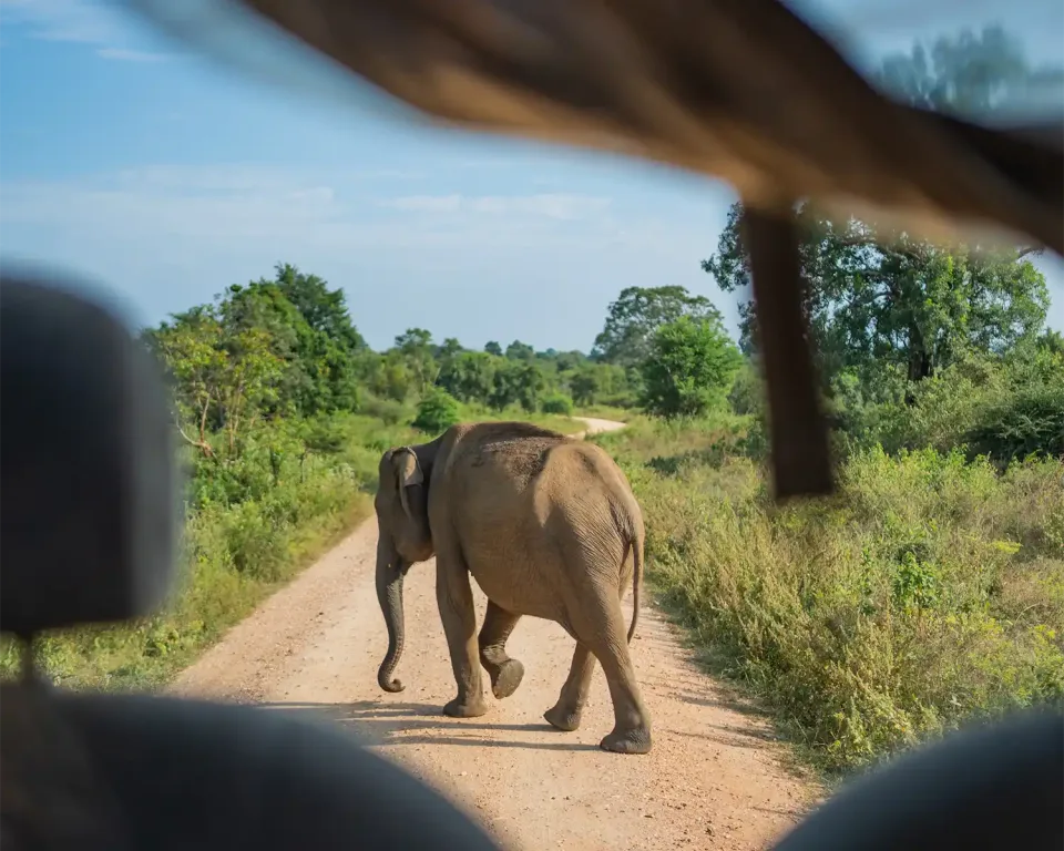 When is the best time to visit Sri Lanka by Region — October View 2