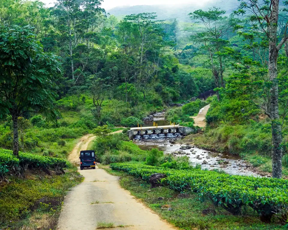 When is the best time to visit Sri Lanka by Region — September View 2